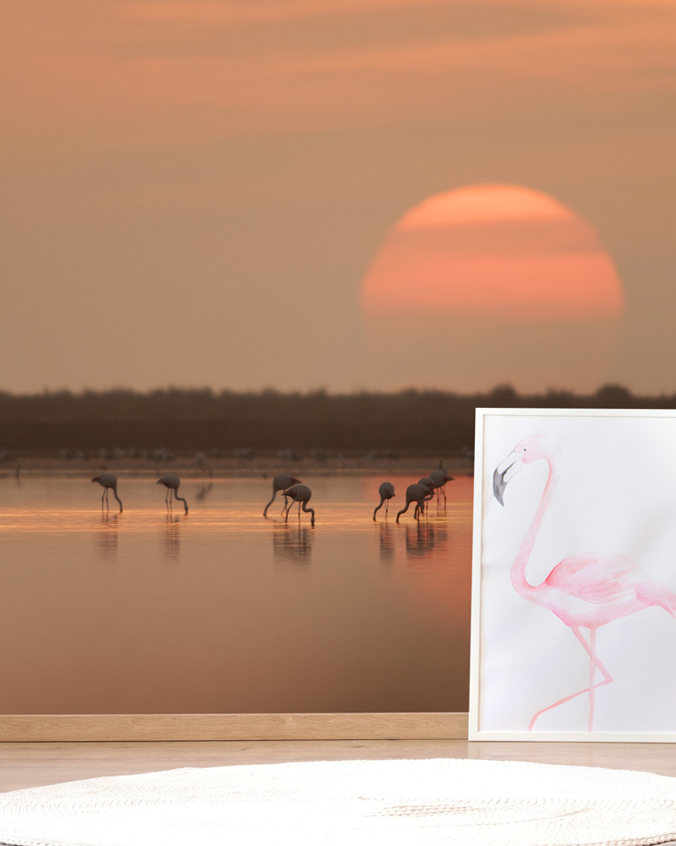 coral-sunset-wallpaper-with-flamingos