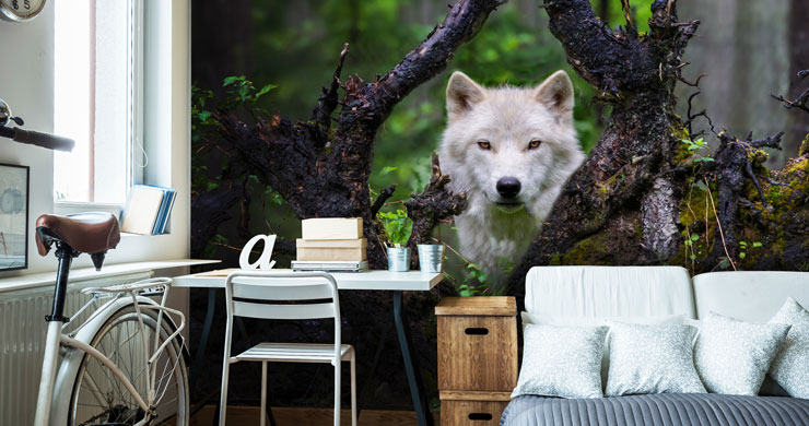 wolf peeping over fallen tree in forest wallpaper in trendy bedroom