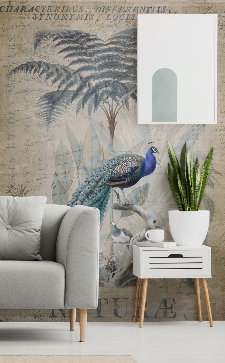 simple vintage style peacock mural in beautiful living room