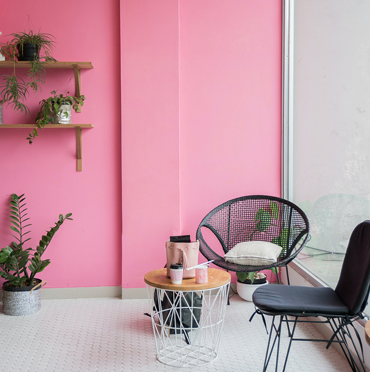 room with pink painted walls and green houseplants