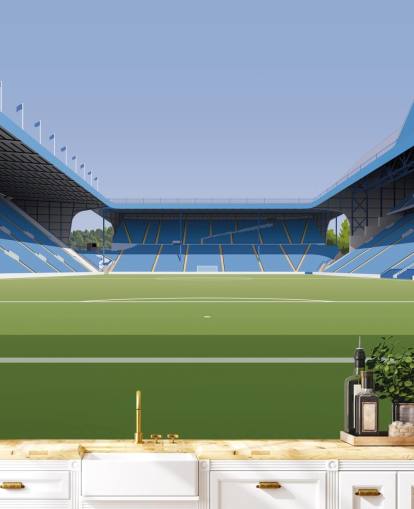 blue and green customizable Sheffield Wednesday wallpaper mural called Hillsborough Stadium Football Stadium for bedrooms
