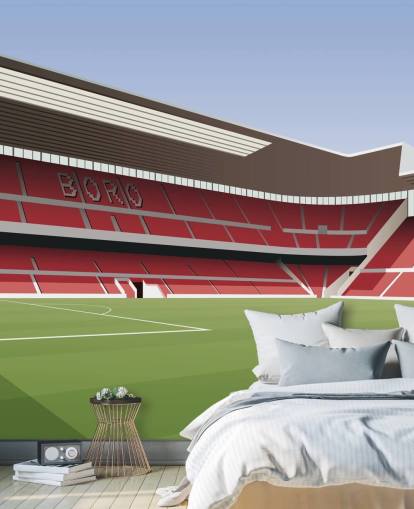 red and green middlesbrough wallpaper mural called Riverside Stadium Football Stadium for bedrooms