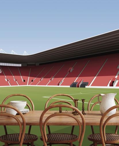 mural de papel pintado personalizable rojo, blanco y verde de Southampton llamado Estadio de fútbol St Mary's Stadium para dormitorios