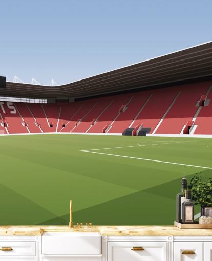 red, white and green customizable Southampton wallpaper mural called St Mary's Stadium Football Stadium for bedrooms