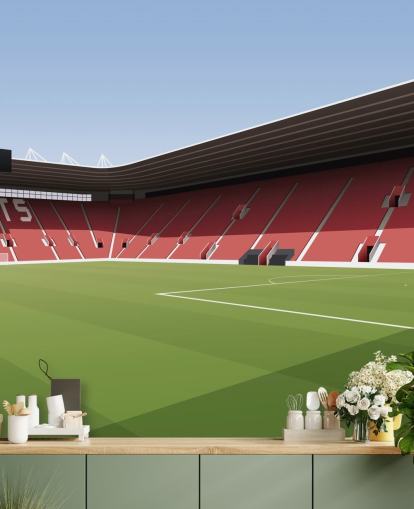 red, white and green customizable Southampton wallpaper mural called St Mary's Stadium Football Stadium for bedrooms