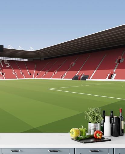 red, white and green customizable Southampton wallpaper mural called St Mary's Stadium Football Stadium for bedrooms