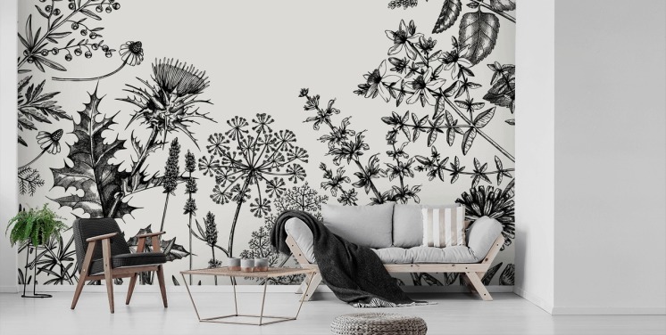 mural de papel pintado de cardo personalizable en blanco y negro llamado Hierbas y flores dibujadas a mano para dormitorios y salas de estar