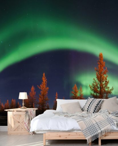 Grøn og blå nordlys Baggrund