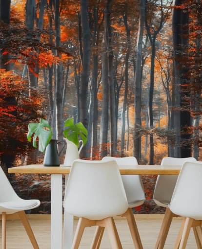 Wandbild „Painting Forest“ von 1x, Motiv: Ildiko Neer, orange, individuell gestaltbar, für Schlafzimmer, Wohnzimmer und Büros Wandbild „Painting Forest“ von 1x, Motiv: Ildiko Neer, orange, individuell gestaltbar, für Schlafzimmer, Wohnzimmer und Büros