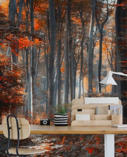 mural naranja personalizable de papel pintado de bosque llamado Painting Forest by 1x - Artista - Ildiko Neer para dormitorios, salas de estar y oficinas