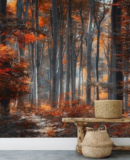 Carta da parati murale arancione personalizzabile chiamata Painting Forest by 1x - Artista - Ildiko Neer per camere da letto, salotti e uffici Carta da parati murale arancione personalizzabile chiamata Painting Forest by 1x - Artista - Ildiko Neer per camere da letto, salotti e uffici