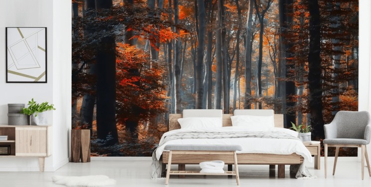 papier peint mural orange personnalisable en forme de forêt appelé Painting Forest par 1x - Artiste - Ildiko Neer pour les chambres, les salons et les bureaux