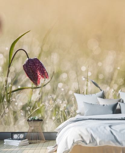 Tulipa vermelha no campo coberto de pingos de chuva Mural Tulipa vermelha no campo coberto de pingos de chuva Mural