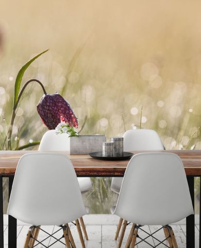 Peinture murale Tulipe rouge dans un champ couverte de gouttes de pluie Peinture murale Tulipe rouge dans un champ couverte de gouttes de pluie