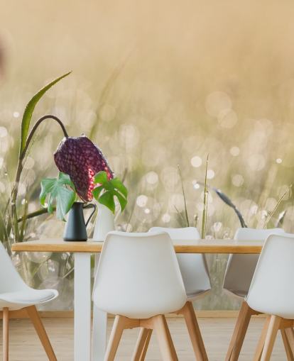 Rote Tulpe auf einem mit Regentropfen bedeckten Feld Fototapete