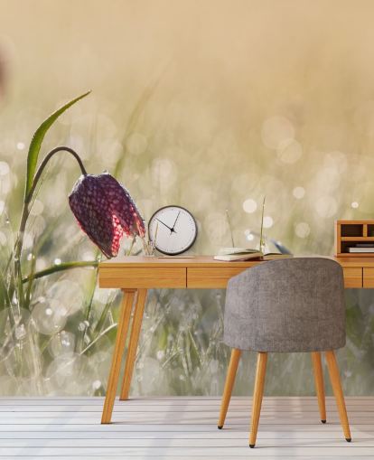 Mural Tulipán rojo en el campo cubierto de gotas de lluvia