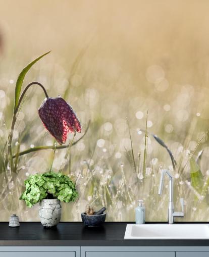 Red Tulip in Field Covered in Raindrops Mural