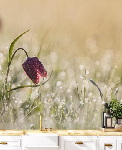 Peinture murale Tulipe rouge dans un champ couverte de gouttes de pluie