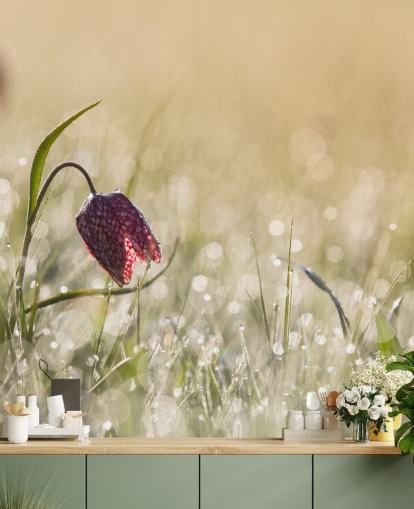 Rode tulp in veld bedekt met regendruppels muurschildering