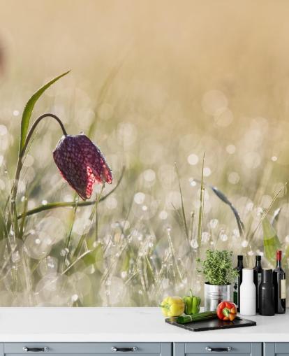 Rode tulp in veld bedekt met regendruppels muurschildering