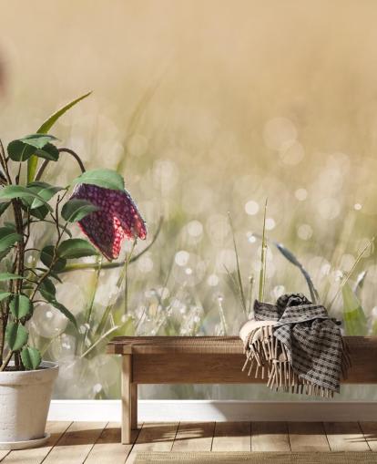 Rote Tulpe auf einem mit Regentropfen bedeckten Feld Fototapete