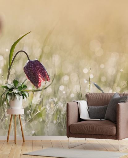 Rote Tulpe auf einem mit Regentropfen bedeckten Feld Fototapete