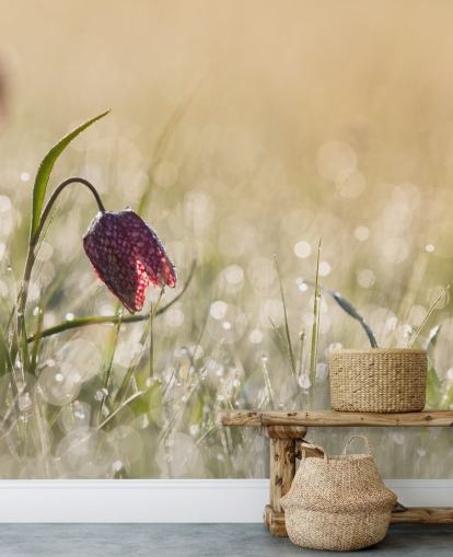 Red Tulip in Field Covered in Raindrops Mural Red Tulip in Field Covered in Raindrops Mural