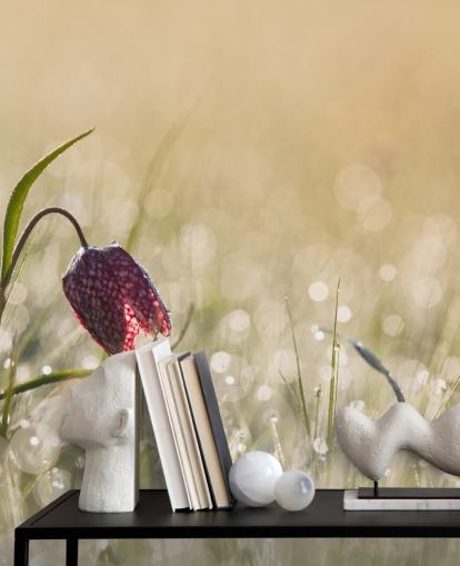 Decorazione murale con tulipano rosso in campo ricoperto di gocce di pioggia