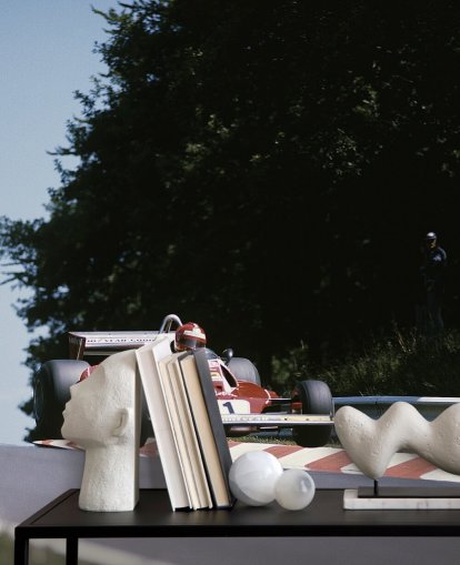 classic motorsport wallpaper called Niki Lauda 1976 for offices, bedrooms and more