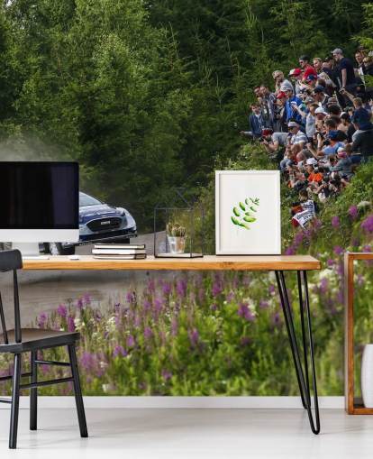 räätälöitävä ralliwallpaer seinämaalaus nimeltään Ott Tanak Finland 2017 makuuhuoneisiin, kotitoimistoihin ja muihin räätälöitävä ralliwallpaer seinämaalaus nimeltään Ott Tanak Finland 2017 makuuhuoneisiin, kotitoimistoihin ja muihin
