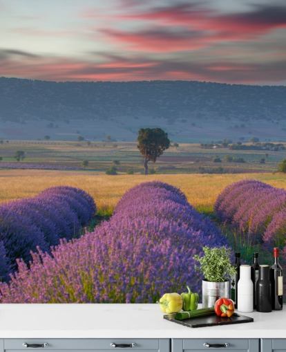 customizable countryside wall mural called Lavender Hills for bedrooms and living rooms