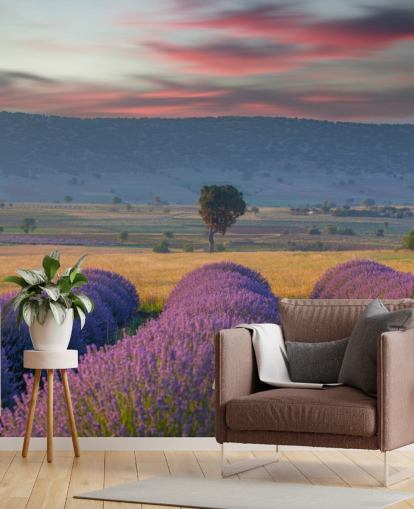 customizable countryside wall mural called Lavender Hills for bedrooms and living rooms