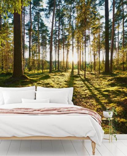 Grønn skog Bakgrunn