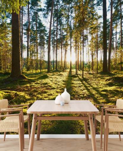 Green Forest Wallpaper