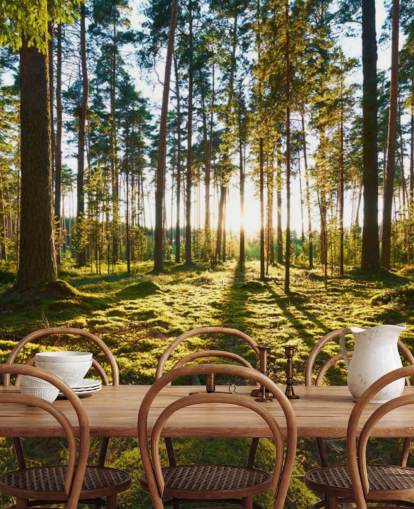 Fondo de pantalla de Green Forest