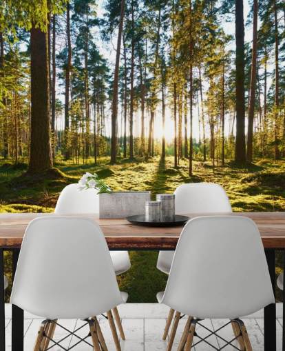 Green Forest Wallpaper Green Forest Wallpaper