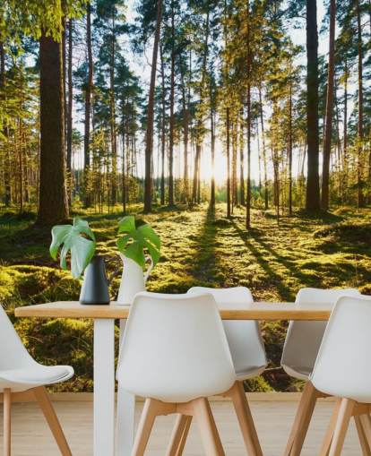 Vihreä metsä taustakuva