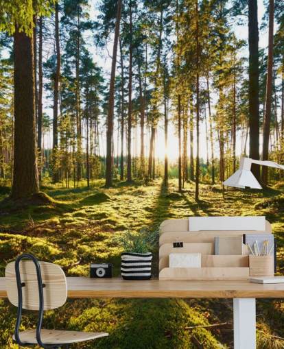 Green Forest Wallpaper