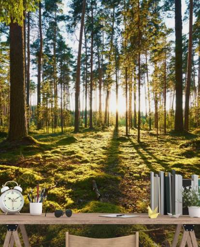 Papier peint Green Forest Papier peint Green Forest