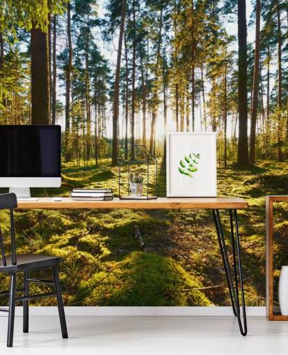 Papel de parede Green Forest