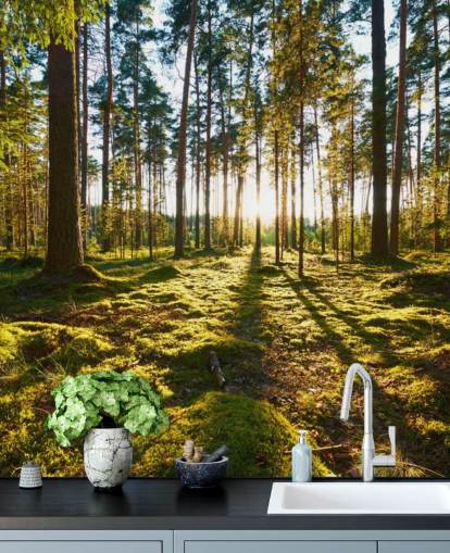 Grøn skov tapet Grøn skov tapet