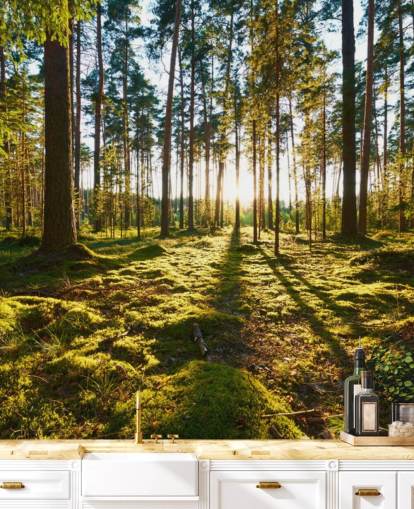 Grønn skog Bakgrunn