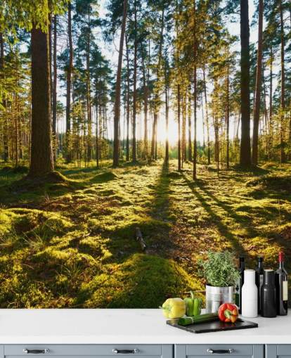 Green Forest Wallpaper