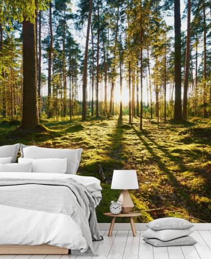 Green Forest Wallpaper