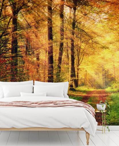 Fotobehang Herfstbos met pad en strepen van zonlicht