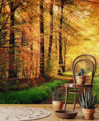 Decorazione murale con foresta autunnale con sentiero e strisce di luce solare Decorazione murale con foresta autunnale con sentiero e strisce di luce solare