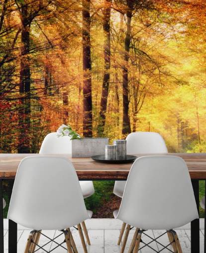 Autumn Forest with Path and Streaks of Sunlight Wall Mural Autumn Forest with Path and Streaks of Sunlight Wall Mural