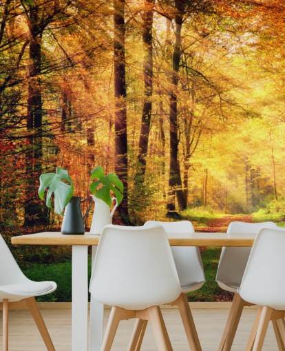 Mural de parede Floresta de Outono com Caminho e Riscas de Luz Solar