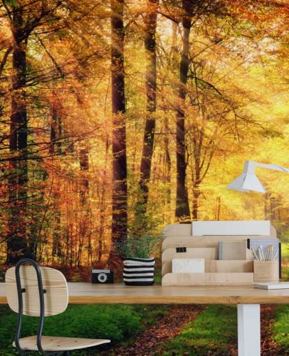 Autumn Forest with Path and Streaks of Sunlight Wall Mural