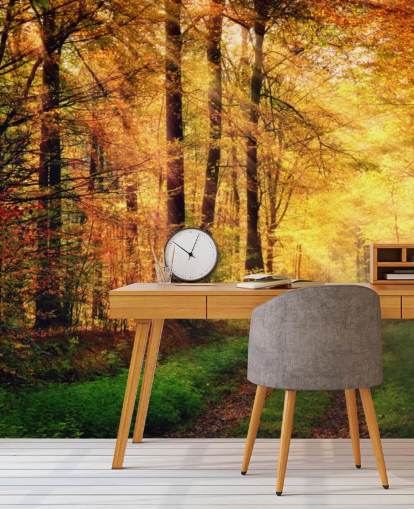 Autumn Forest with Path and Streaks of Sunlight Wall Mural